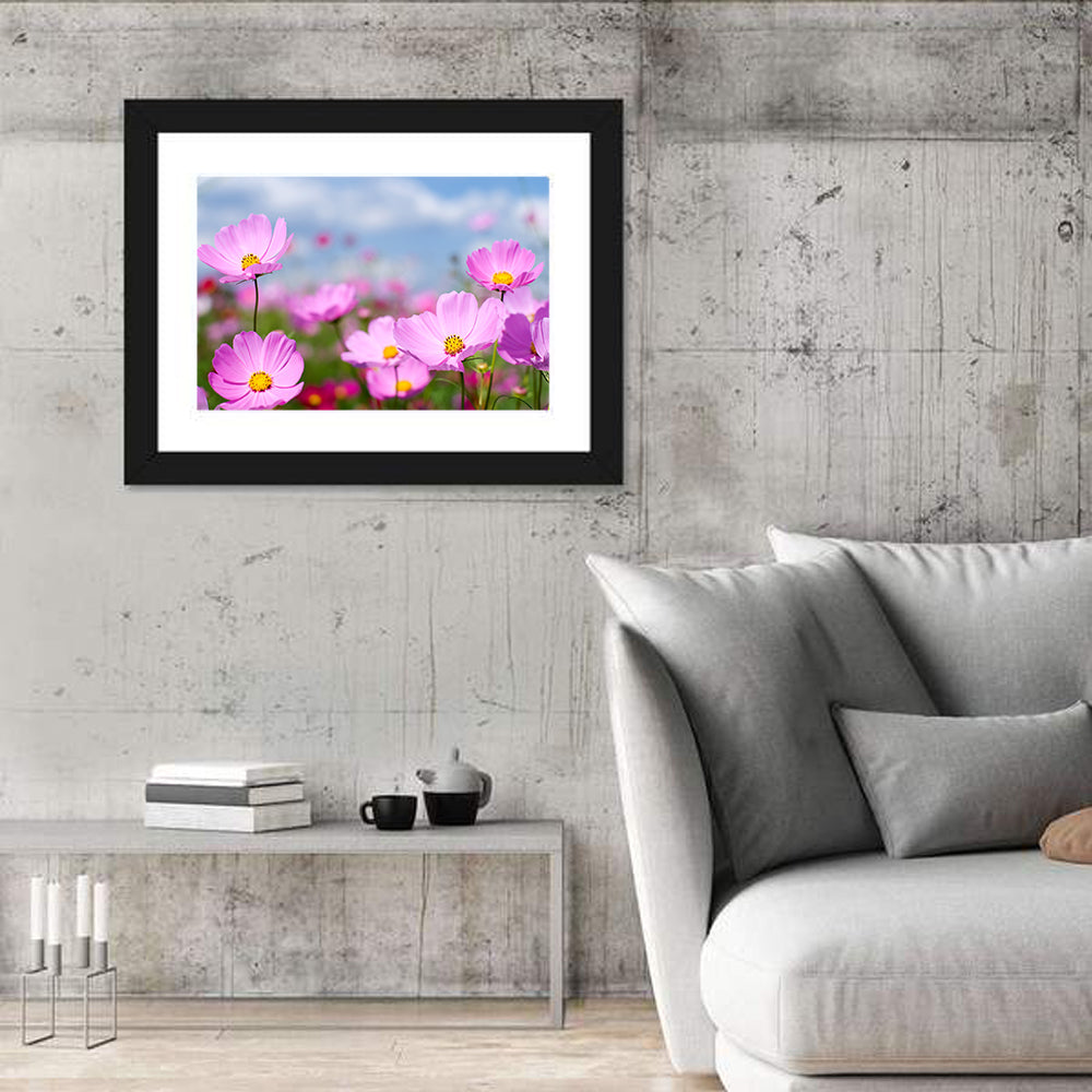 Pink Cosmos Meadow Under Blue Sky Wall Art