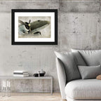 Low Angle Vintage Propeller Airplane Wall Art