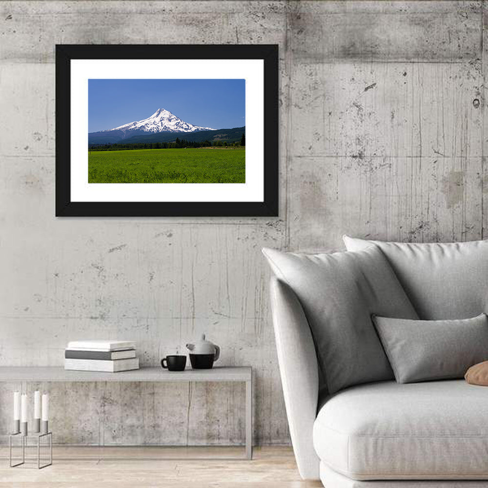 Mount Hood Meadow View Wall Art in a room, landscape