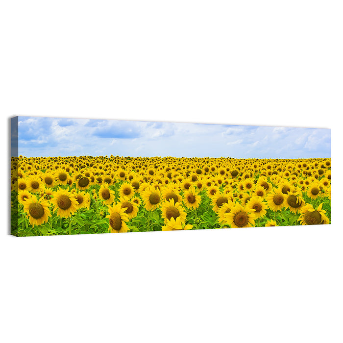 Sunflower Field Under Blue Sky Wall Art as a canvas print
