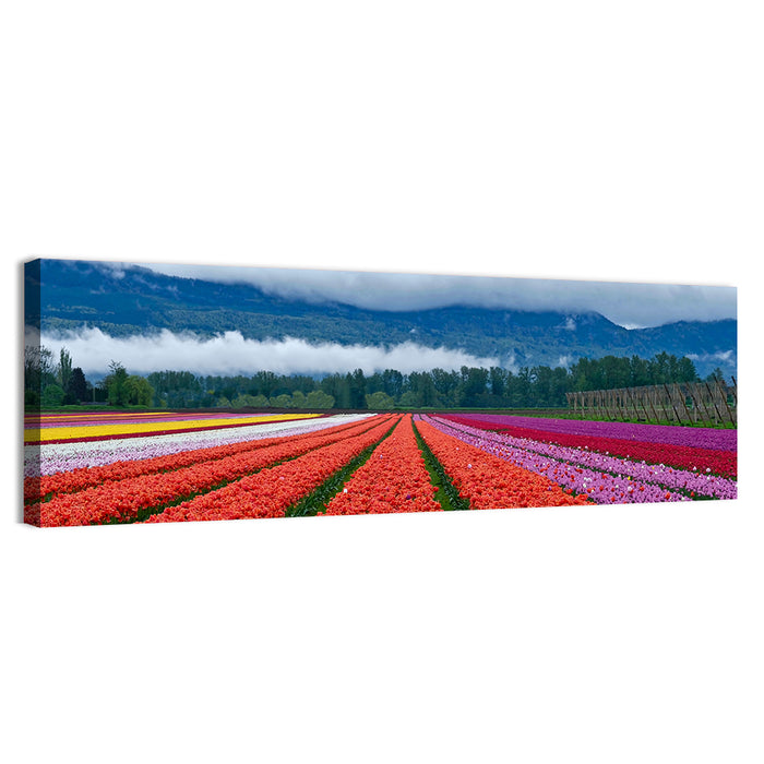 Chilliwack Tulip Festival Wall Art as a canvas print