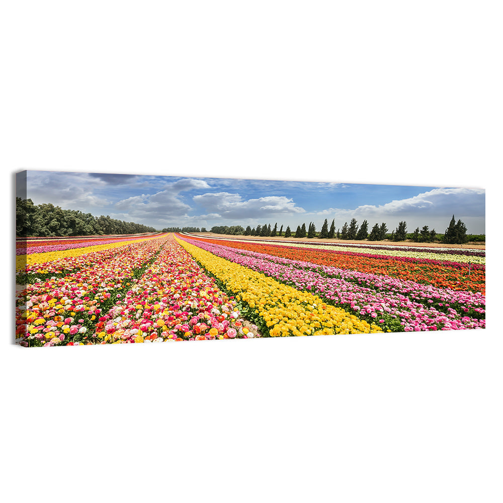 Spring Buttercup Field Wall Art, canvas print, panoramic