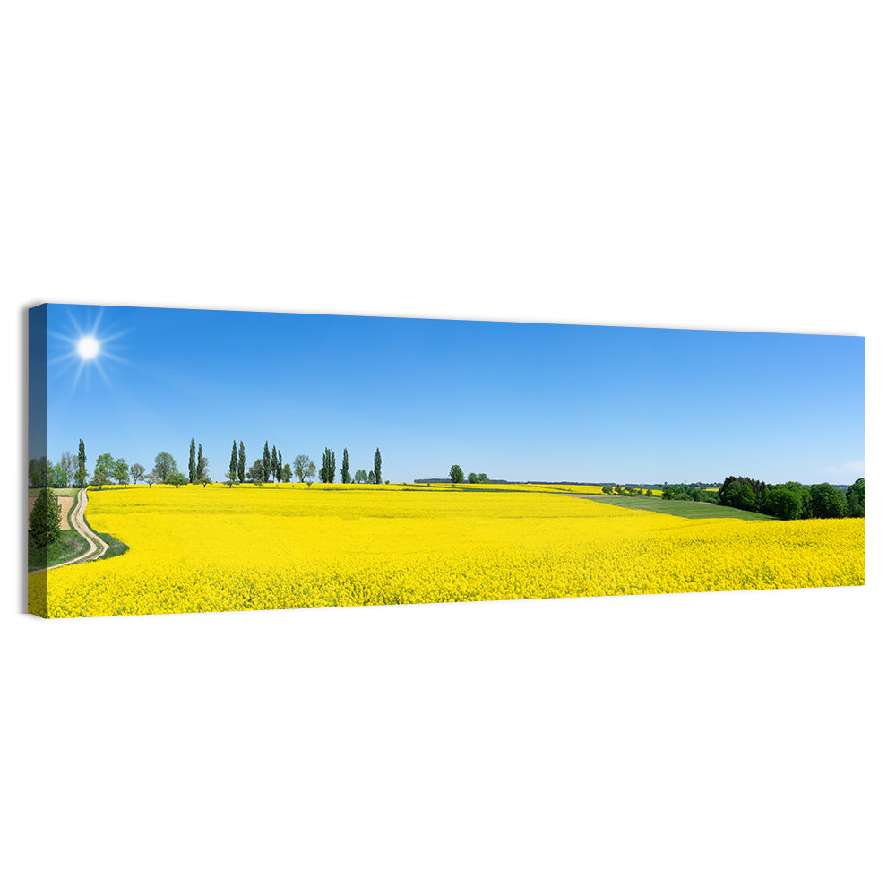 Winding Path Through Rapeseed Field Wall Art, canvas print, panoramic