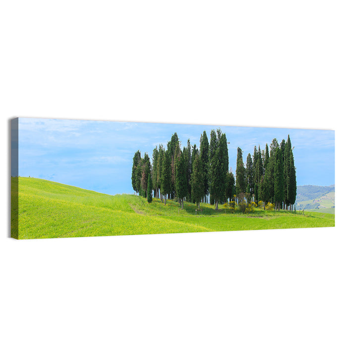 Tuscany Cypress Trees Wall Art as a canvas print