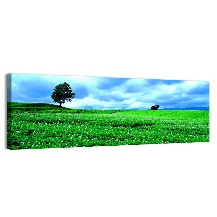 Biei Hill with Lone Tree, Hokkaido Wall Art as a canvas print