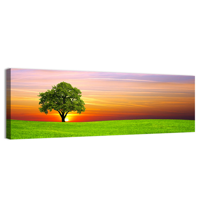 Lone Tree at Sunset Wall Art as a canvas print