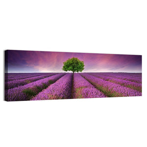 Summer Lavender Field Wall Art