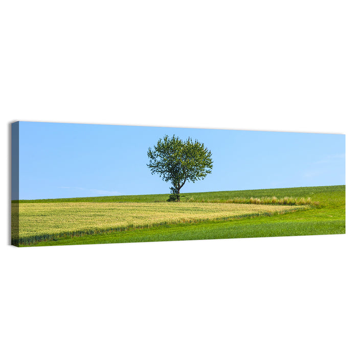 Solitary Tree on Rolling Meadow Wall Art as a canvas print