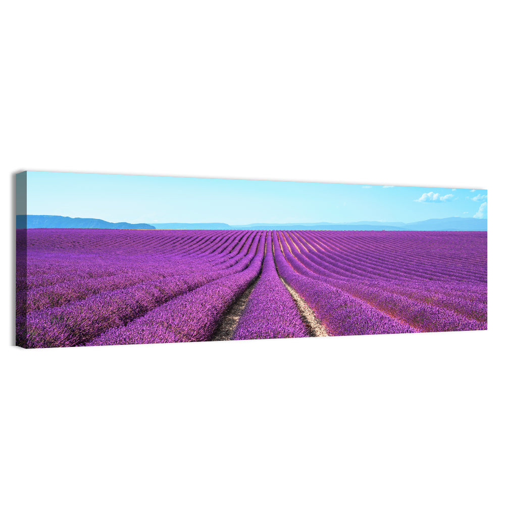 Lavender Flower Fields Wall Art, canvas print, panoramic