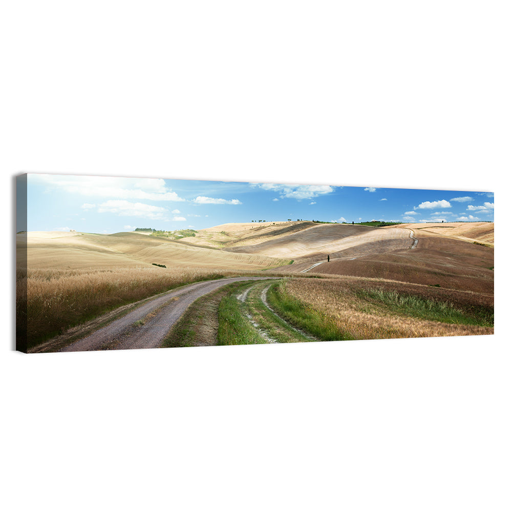 Dirt Road Through Tuscany Wall Art, canvas print, panoramic