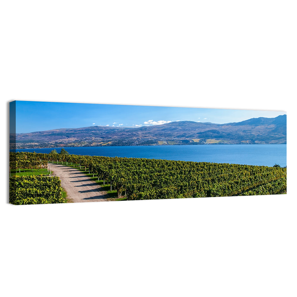 Lake Okanagan Vineyard Path Wall Art