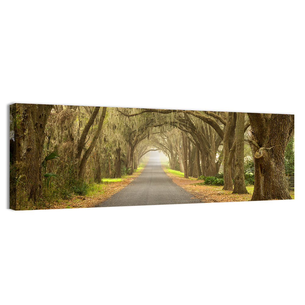 Spanish Moss Country Road Wall Art, canvas print, panoramic