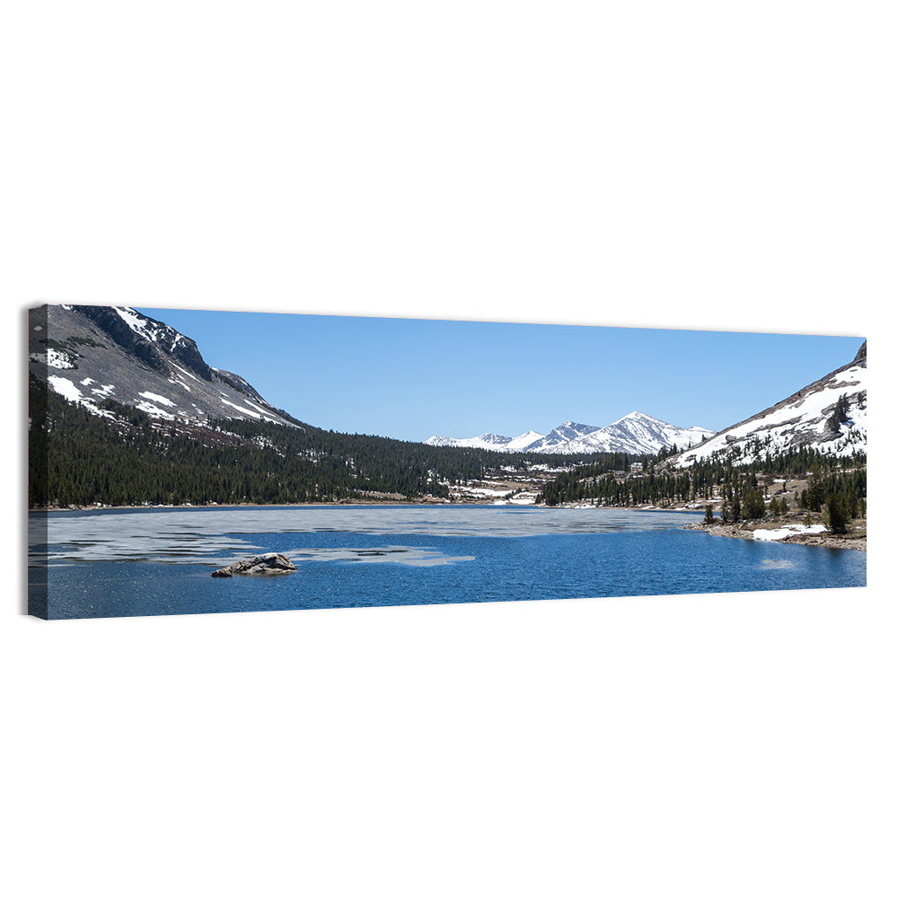 Yosemite Frozen Lake Scene Wall Art