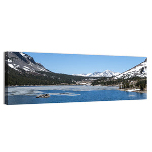 Frozen Lake In Yosemite National Park Wall Art