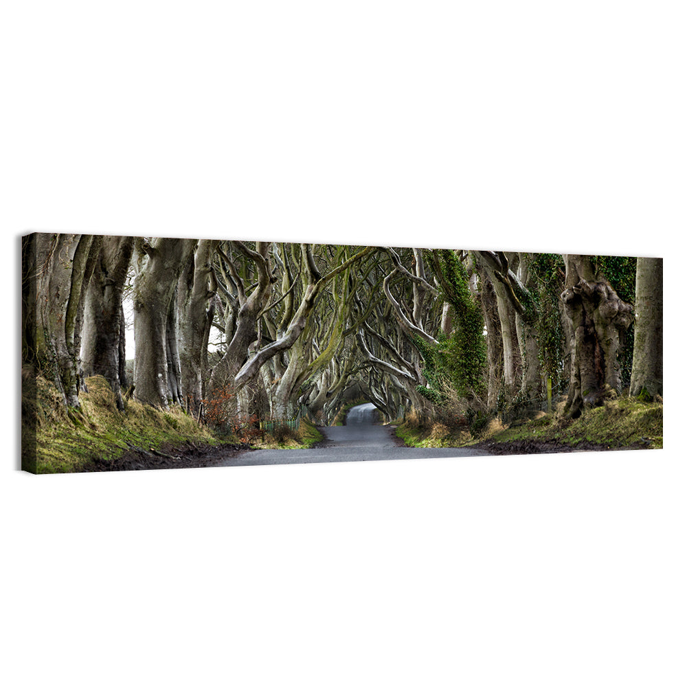 Dark Hedges Tree Tunnel Wall Art, canvas print, panoramic