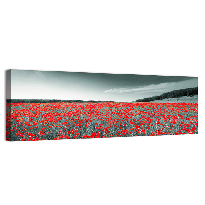 Red Poppy Field Wall Art as a canvas print