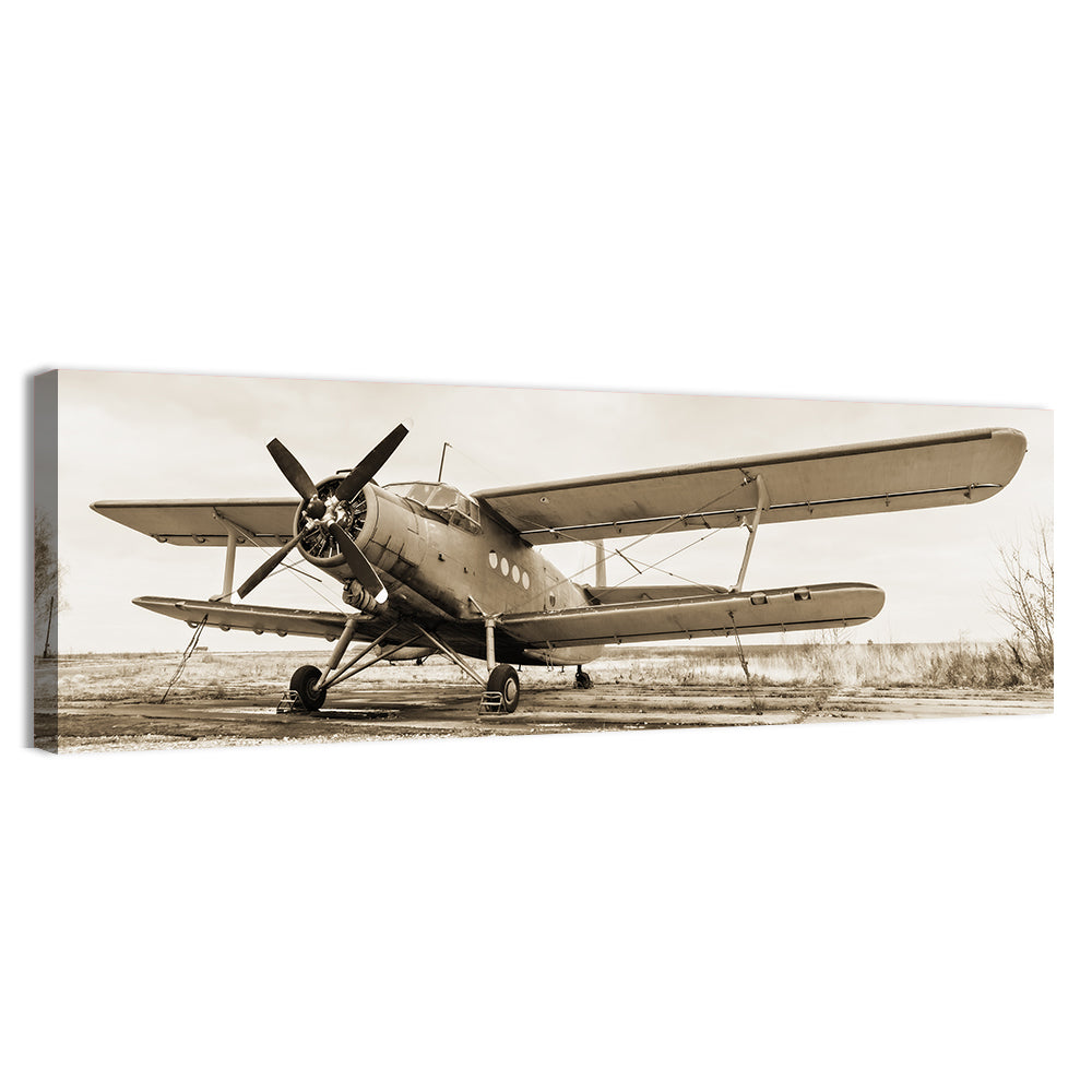 Vintage Biplane Closeup Wall Art