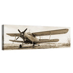 Vintage Biplane Closeup Wall Art