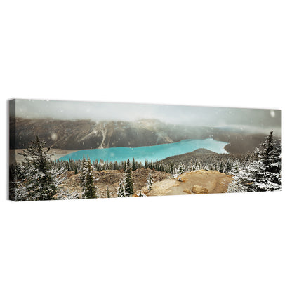 Peyto Lake In Winter Wall Art