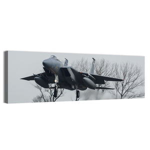 USAF F-15 Eagle Jet Wall Art