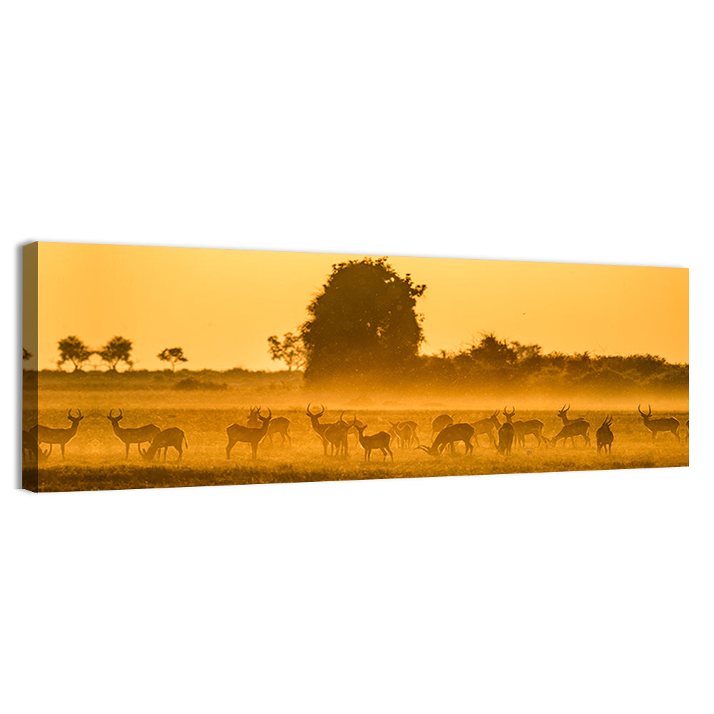Antelope Herd at Golden Hour Wall Art, canvas print, panoramic