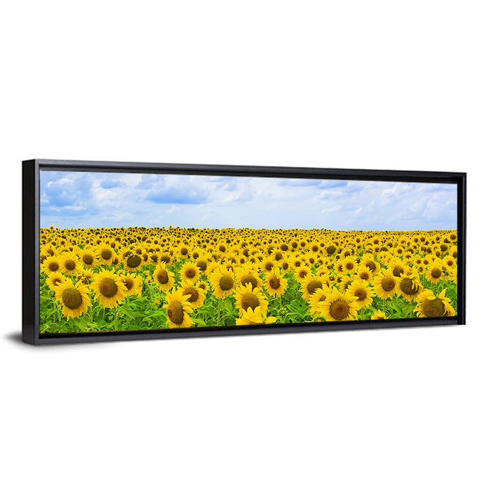 Sunflower Field Under Blue Sky Wall Art as a framed canvas