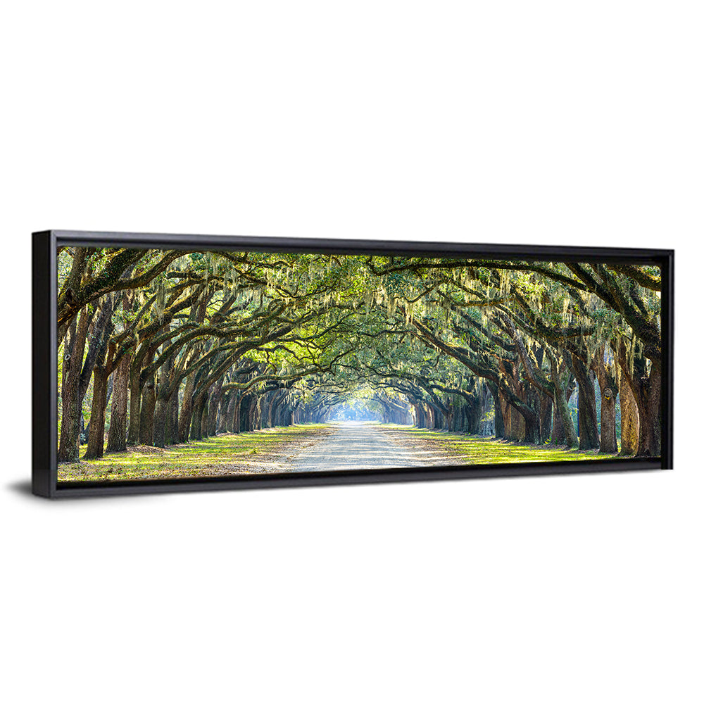 Savannah Oak Tree Pathway Wall Art