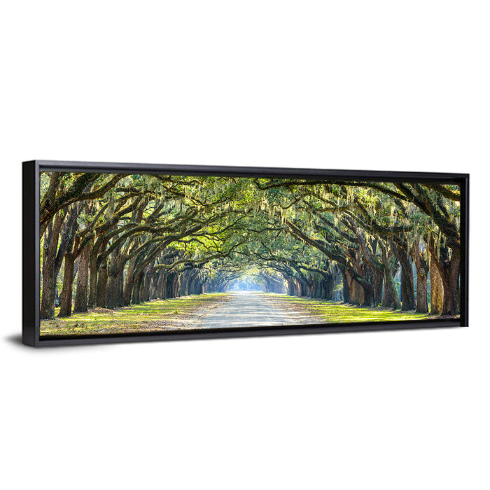 Wormsloe Plantation Oak Tunnel Wall Art as a framed canvas
