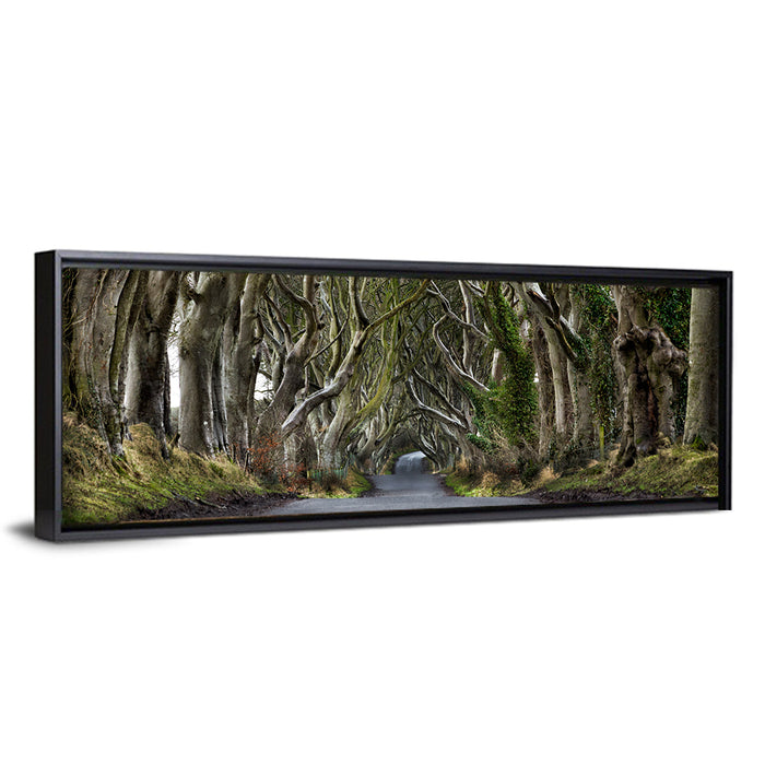 Dark Hedges Tree Tunnel Wall Art as a framed canvas