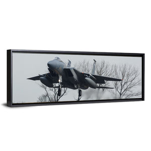 USAF F-15 Eagle Jet Wall Art