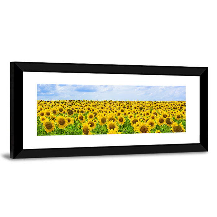 Sunflower Field Under Blue Sky Wall Art as a framed print