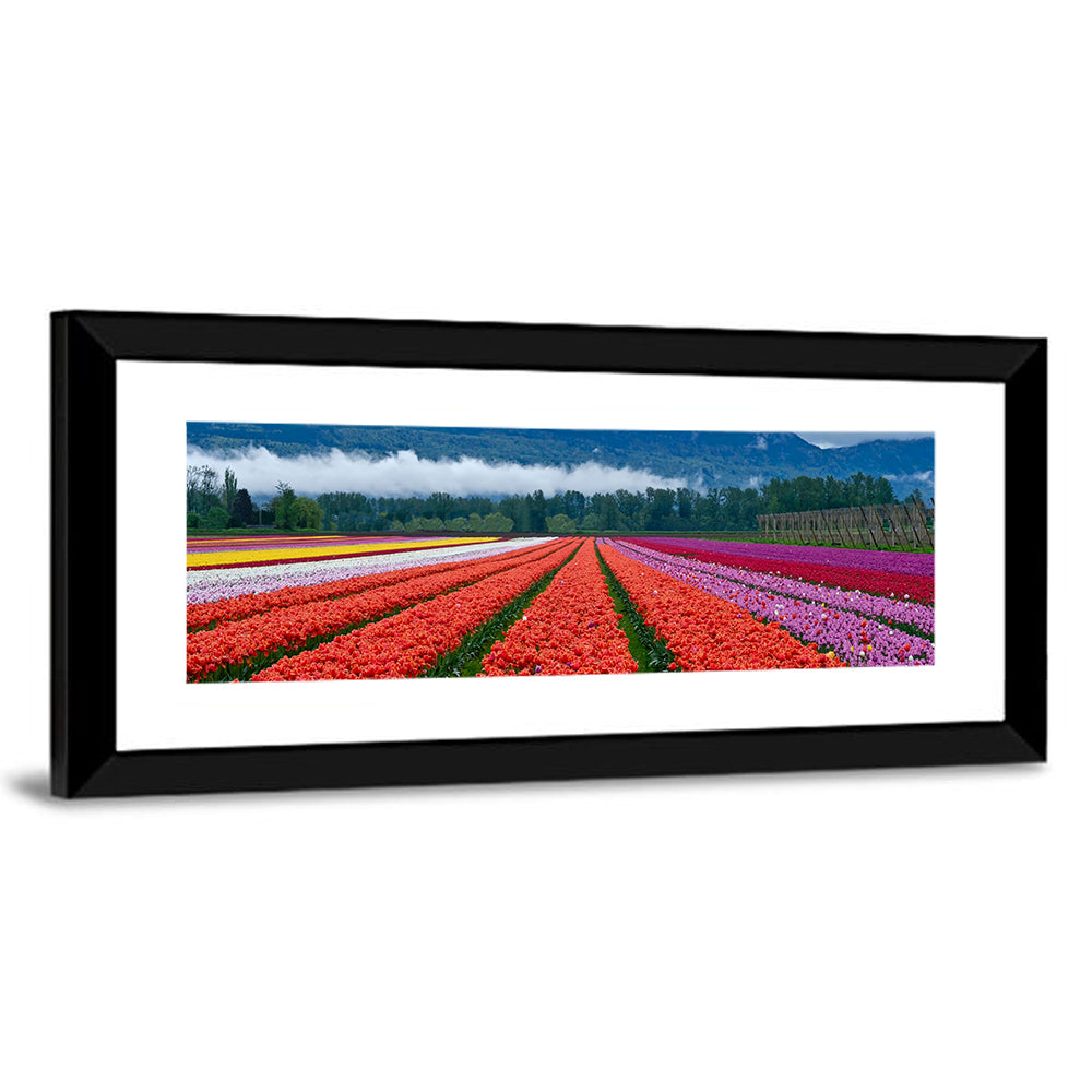 Chilliwack Tulip Festival Wall Art