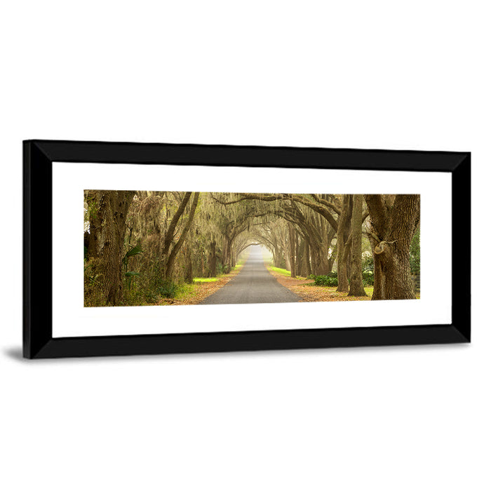Spanish Moss Country Road Wall Art as a framed print