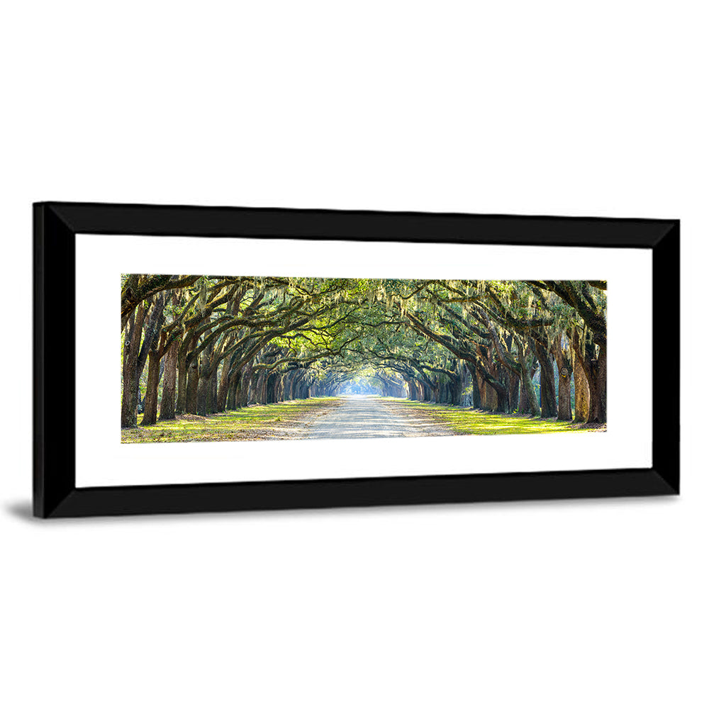 Historic Wormsloe Plantation In Savannah Wall Art