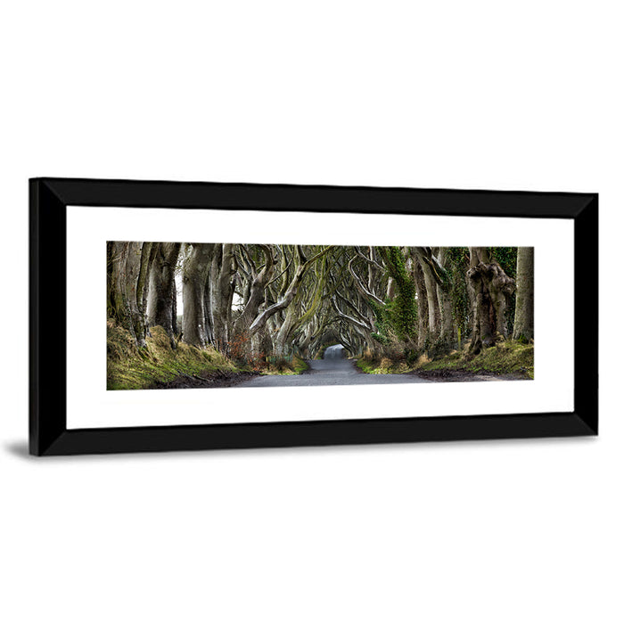 Dark Hedges Tree Tunnel Wall Art as a framed print