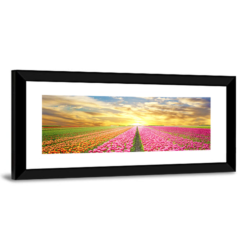 Sunrise Over Tulip Field Wall Art
