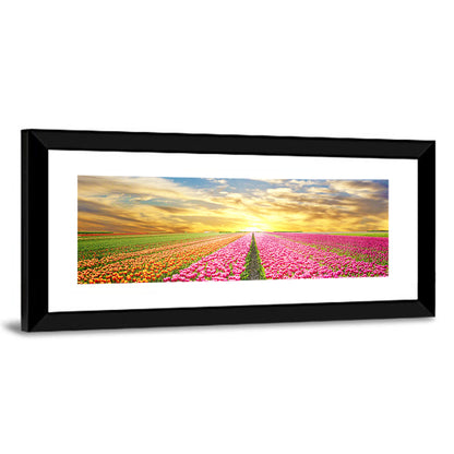 Sunrise Over Tulip Field Wall Art