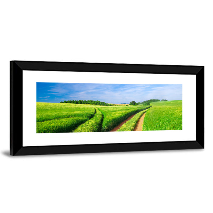 Summer Meadow with Dirt Path Wall Art as a framed print