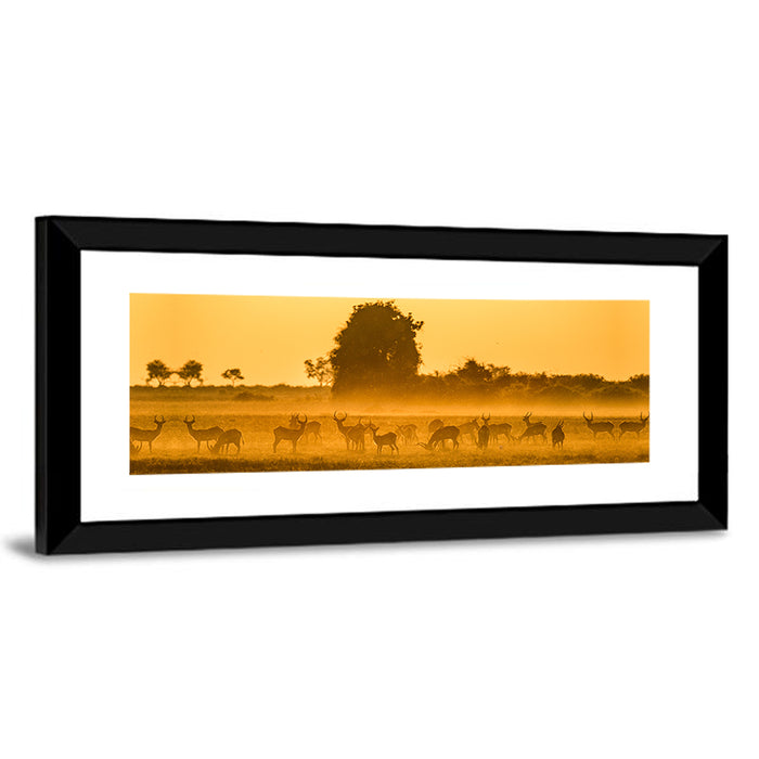 Antelope Herd at Golden Hour Wall Art as a framed print