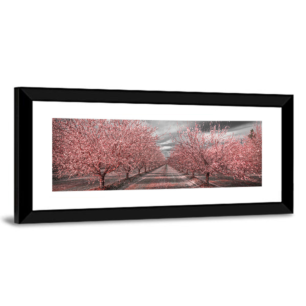 California Orchard Pink Blossoms Wall Art