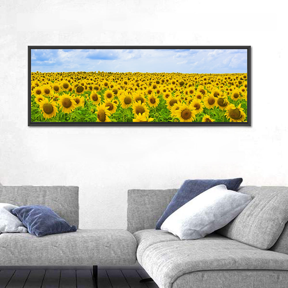 Sunflower Field Under Blue Sky Wall Art in a room, panoramic