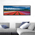Chilliwack Tulip Festival Wall Art