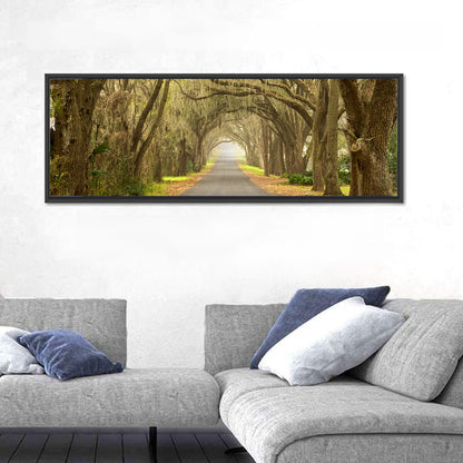 Spanish Moss Countryside Road Wall Art