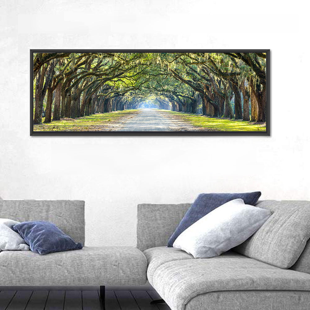 Wormsloe Plantation Oak Tunnel Wall Art