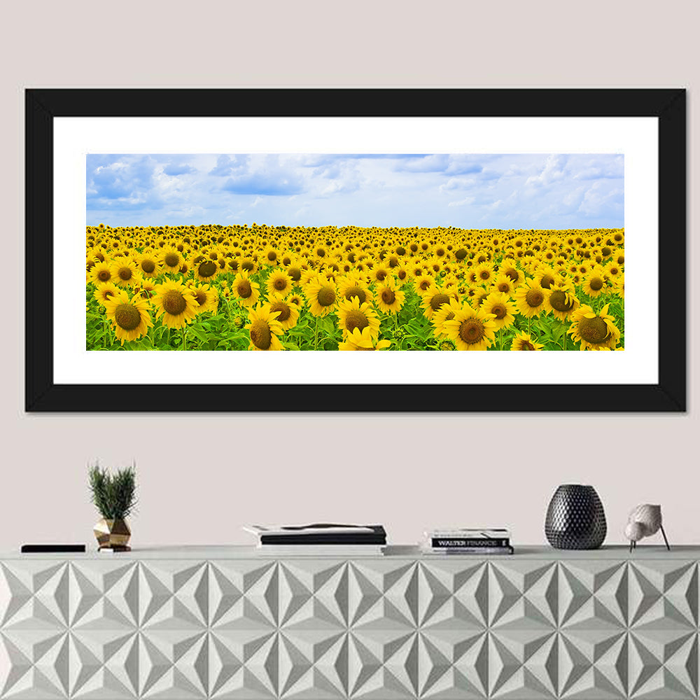 Sunflower Field Under Blue Sky Wall Art in a room, panoramic
