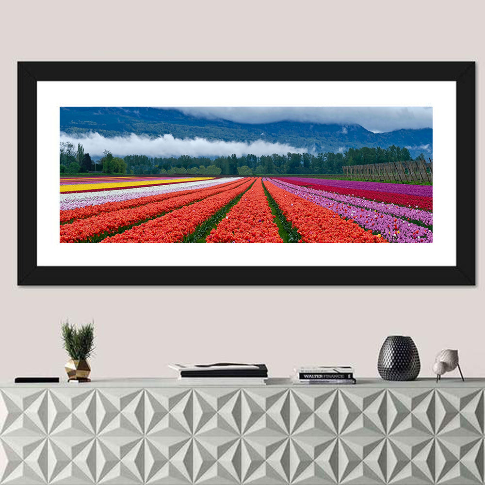 Chilliwack Tulip Festival Wall Art