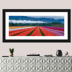 Chilliwack Tulip Festival Wall Art