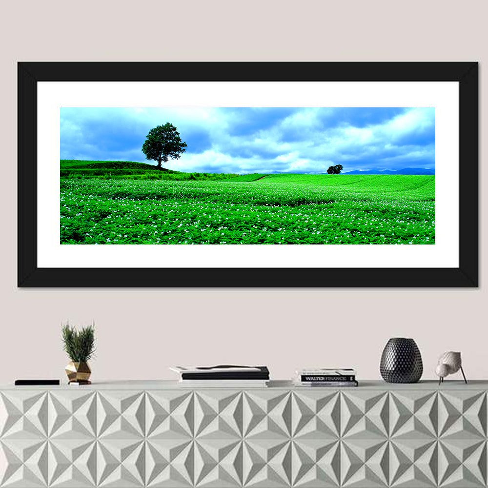 Biei Hill with Lone Tree, Hokkaido Wall Art in a room, panoramic
