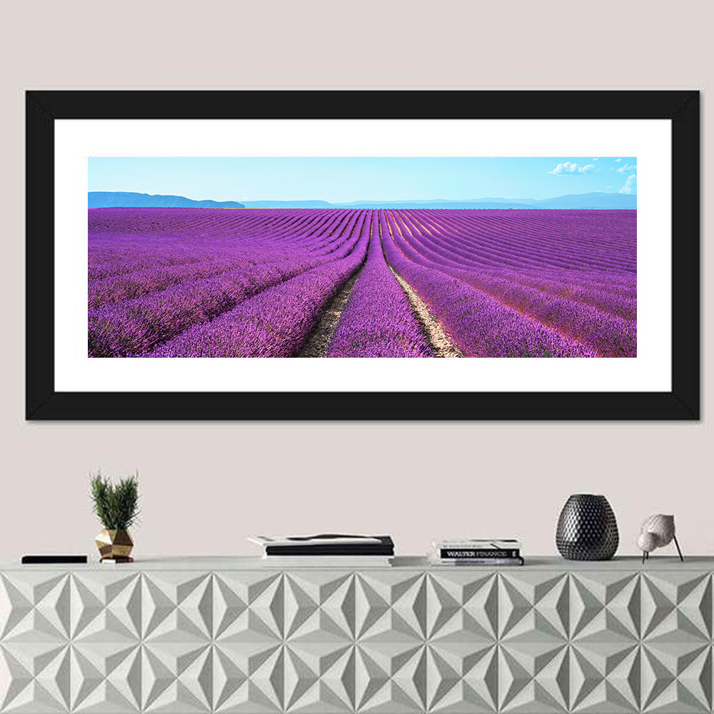 Lavender Flower Fields Wall Art in a room, panoramic