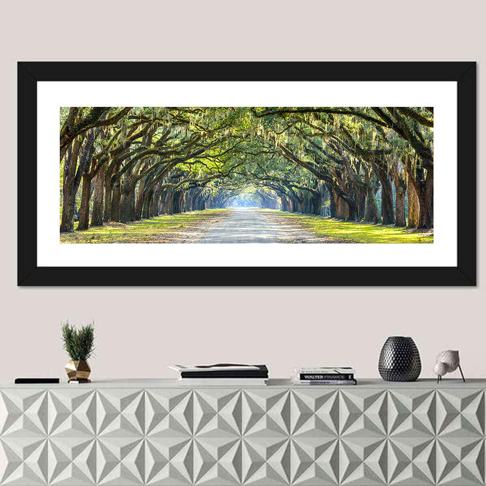 Wormsloe Plantation Oak Tunnel Wall Art